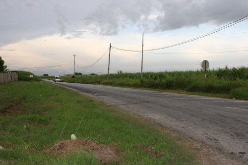 couva0951.jpg