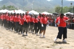 pnm2705076872.jpg