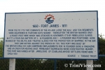tob0501088042.jpg