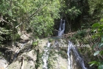 tobA0601080135.jpg
