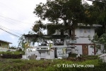 tobA0601080149.jpg