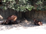 mcK0804082615.jpg