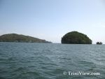 ti1105084269.jpg