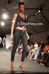 fwfC2805081207.jpg