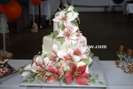 cakes2408085283.jpg