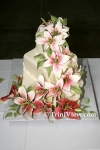 cakes2408085286.jpg