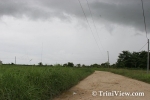 narM0410087902.jpg