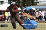 Command Working Dogs Club Dog Demonstration 2009