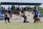 cwdC1905139331.jpg