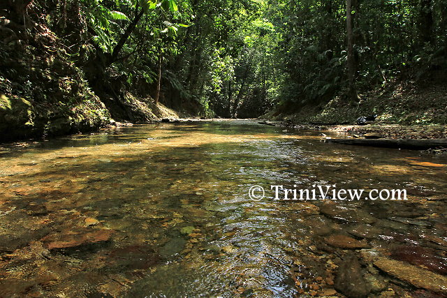 Marianne River Blanchisseuse near the 18¾ mile post