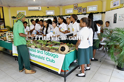 Students from St. Francois Girls College, Belmont check out a variety of vegetables and fruits