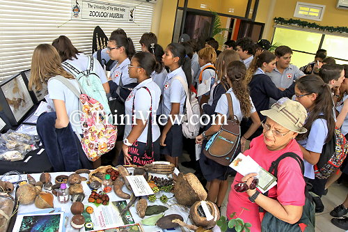 Students of the Maple Leaf International School checking different species on display from UWI’s zoology museum