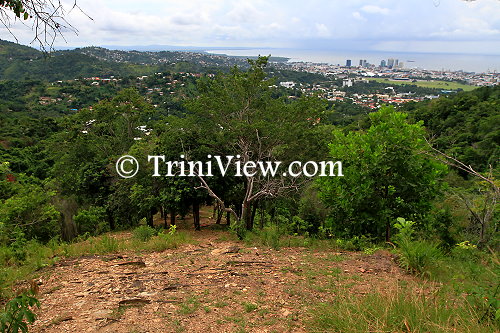 A nature trail up in the St. Ann's hills