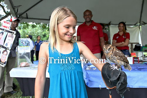 A young visitor admires one of the owls at the El Scorro Centre for Wildlife Conservation booth