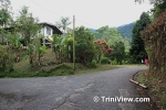bsC0210113644.jpg