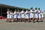 idpC3108122153.jpg
